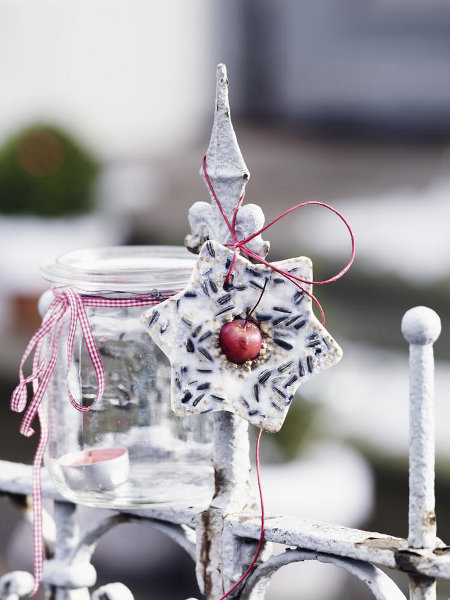 garden-christmas-decoration-ideas-star-bird-food-seeds-meled-lard