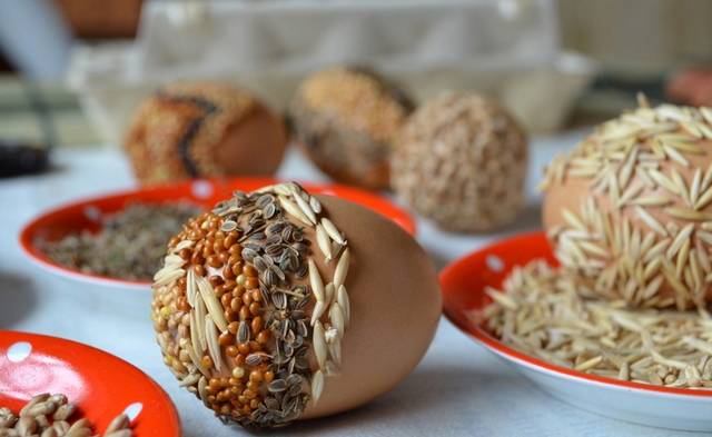 easter eggs ideas eco-friendly Dill seed oats glue