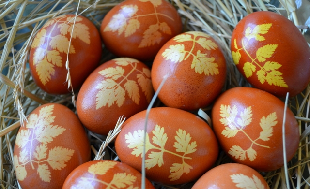 naturally dyed eggs onion skins tradition orange colour