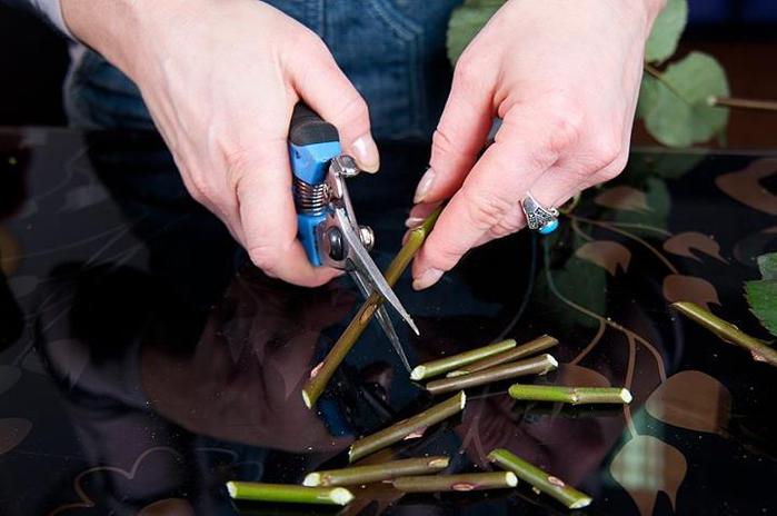 valentines day gift idea how to make loved one surprise diy stalk cutting