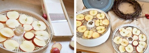 Quick-ideas-for-decor-with-apples-diy-masters-004