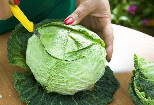 diy-drop-down-table-centerpiece–flowers-plant-genus-brassica-vase-02