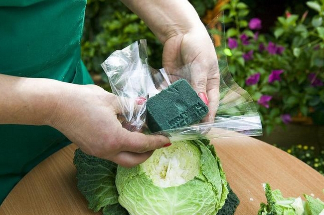 diy-drop-down-table-centerpiece–flowers-plant-genus-brassica-vase-03