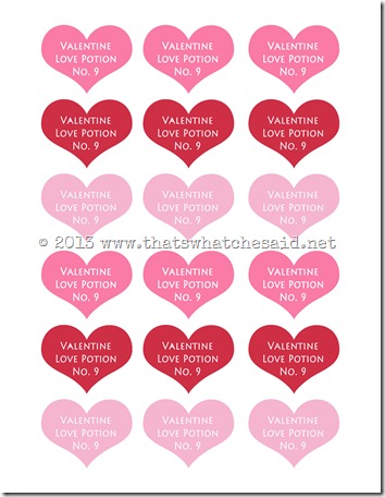 love-potion-valentine-idea-free-printable-img004