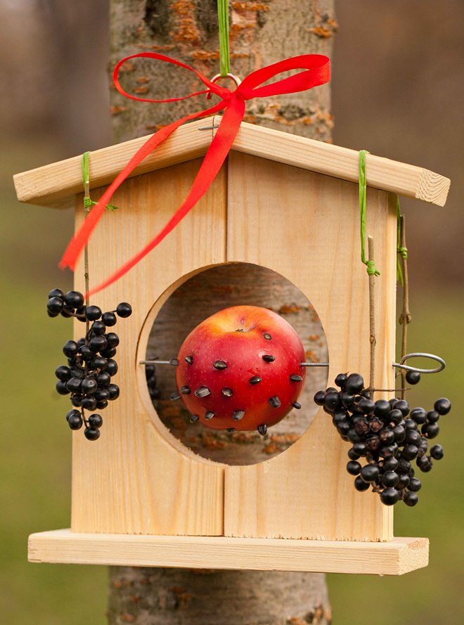 diy-bird-feeders-3-easy-and-original-ideas-to-make-001