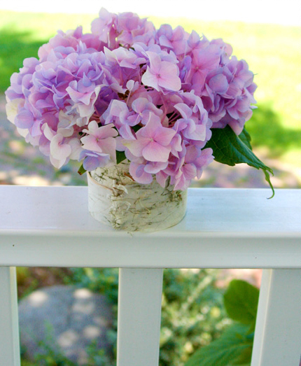 white-wooden-porch-birch-tree-peels-craft-04