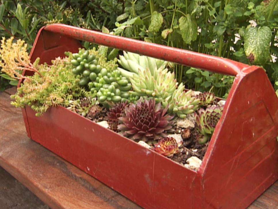 13-unusual-and-upcycled-container-gardens-img015