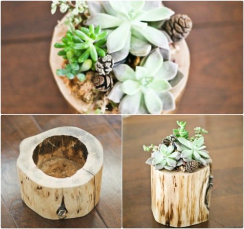 diy-9-original-pots-for-the-garden-img004