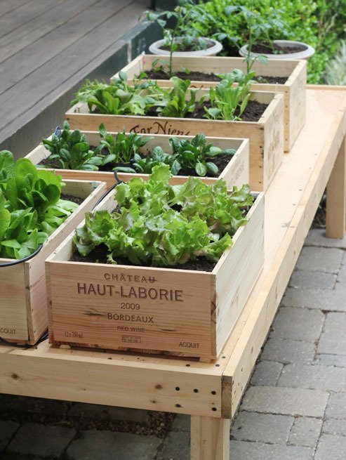 ideas-for-gardening-narrow-balconies-1