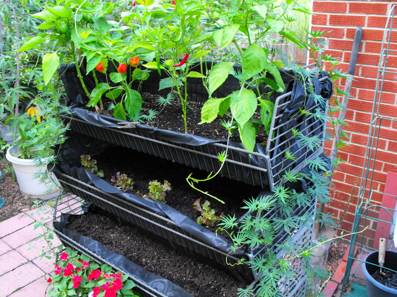 ideas-for-gardening-narrow-balconies-12