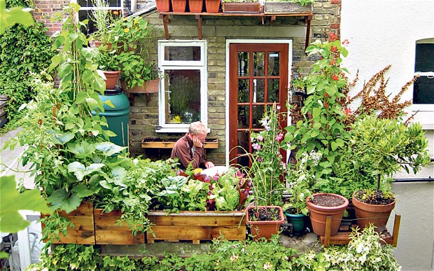 ideas-for-gardening-narrow-balconies-14