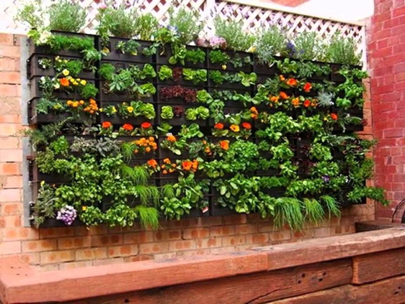 ideas-for-gardening-narrow-balconies-15