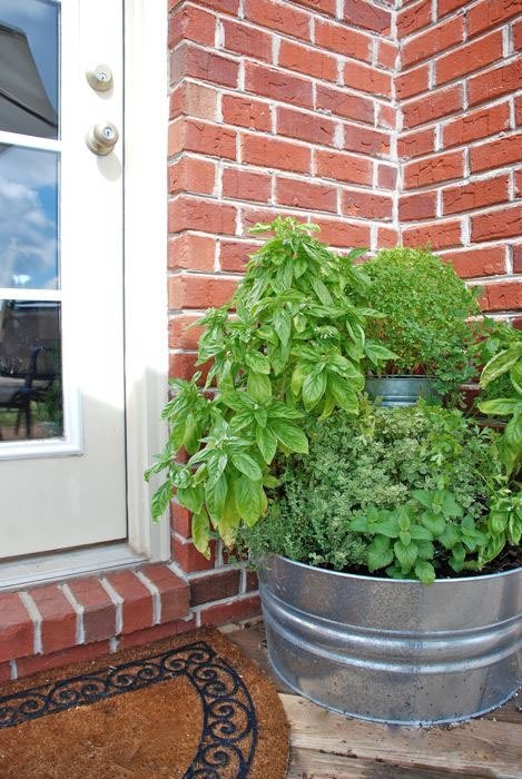 ideas-for-gardening-narrow-balconies-17