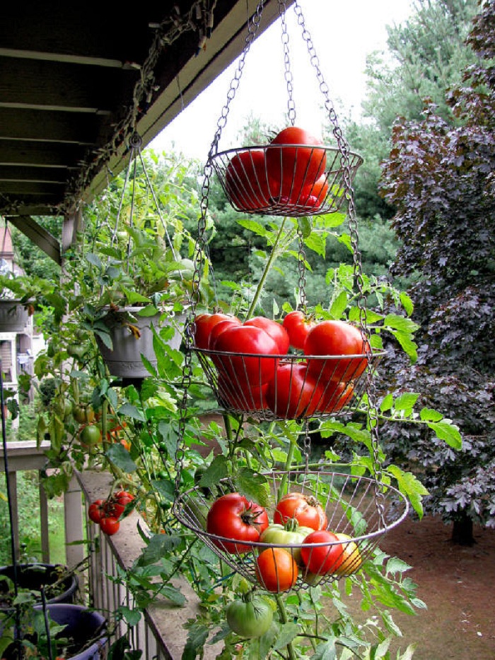 Ideas for garden narrow balconies - You do not need a yard to
