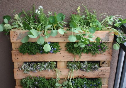 ideas-for-gardening-narrow-balconies-2