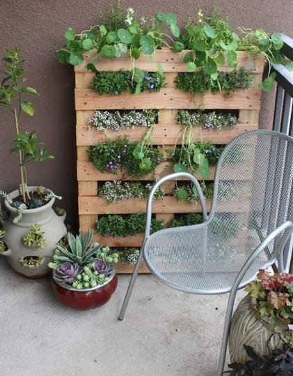 ideas-for-gardening-narrow-balconies-3