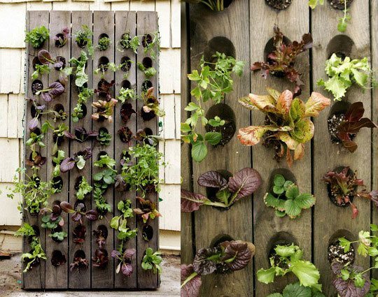 ideas-for-gardening-narrow-balconies-4