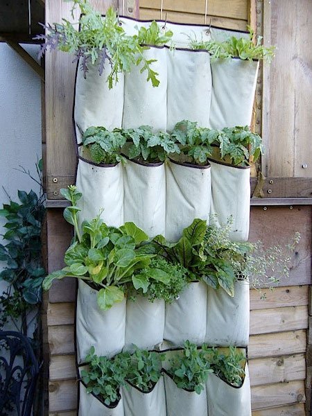 ideas-for-gardening-narrow-balconies-5