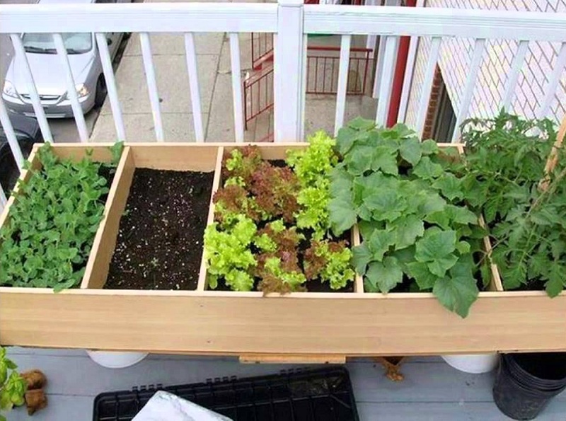 ideas-for-gardening-narrow-balconies-8