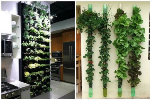 vertical-garden-the-magic-of-the-green-wall-img003