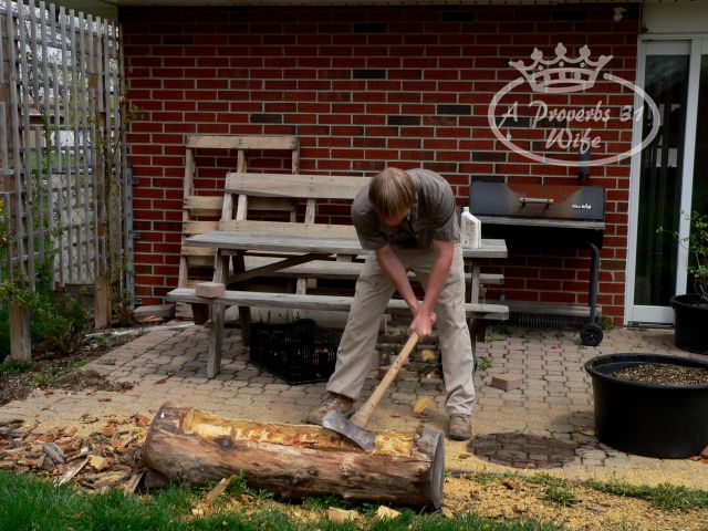 making-a-log-planter-for-flowers-diy-masters-img001