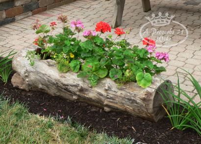 making-a-log-planter-for-flowers-diy-masters-img006