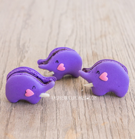 blueberry-elephant-macarons-diy-masters-img001