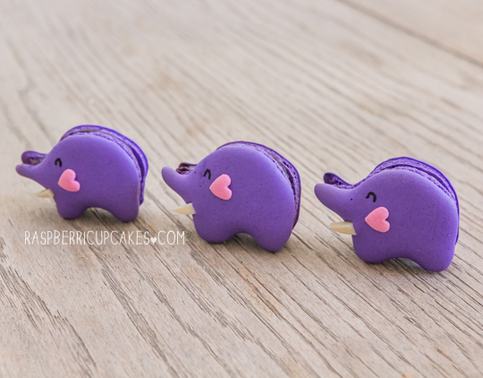 blueberry-elephant-macarons-diy-masters-img004